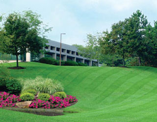 commerical-services